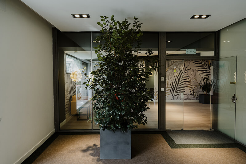 Entrada