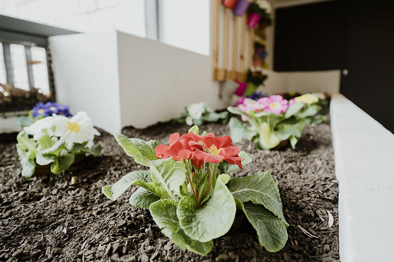 Jardinería