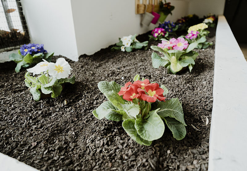 Jardinería