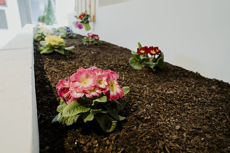 Jardinería